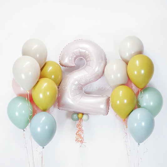 Balloon Kit Pastel