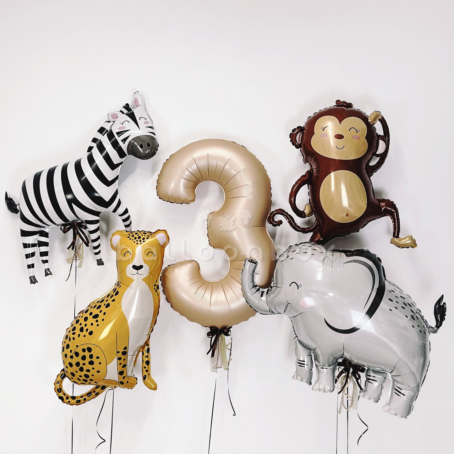 Wild birthday