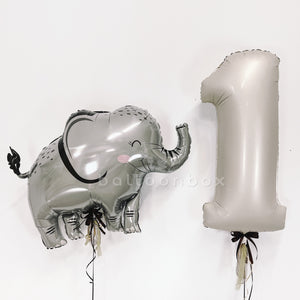 Open image in slideshow, Wild One Balloon Kit
